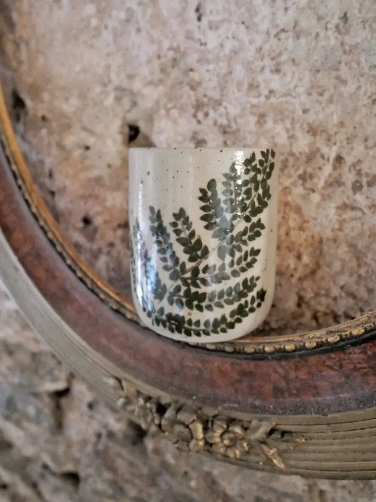 Les Tasses | Fougère